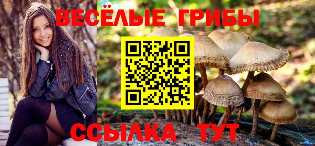 Ефремов  Псилоцибиновые грибы GOLDEN TEACHER  Вход с VPN 